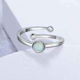 Anillo BriI